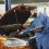 Complete Vehicle Maintenance Checklist for Every Car Owner